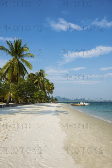 White sandy beach and coconut palms, Pearl Beach, Koh Mook, Trang Province, Southern Thailand, Andaman Sea, Thailand