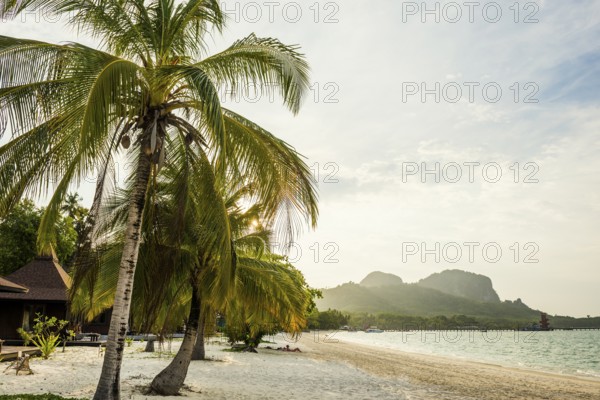 White sandy beach and coconut palms, sunset, Pearl Beach, Koh Mook, Trang Province, Southern Thailand, Andaman Sea, Thailand