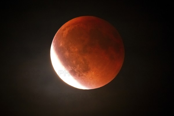 After a total lunar eclipse, the moon appears shortly after its rise in the evening sky as a so-called blood moon in front of it then begins to emerge from the Earth's umbra, Frankfurt am Main, Hesse, Germany