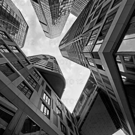Frog's-eye view of the skyscrapers in the banking district, Four Frankfurt, Frankfurt am Main, Hesse, Germany