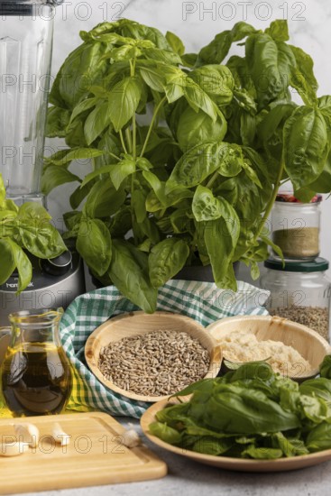 Basil next to a blender, with bowls full of pesto ingredients such as sunflower seeds, garlic and Parmesan cheese