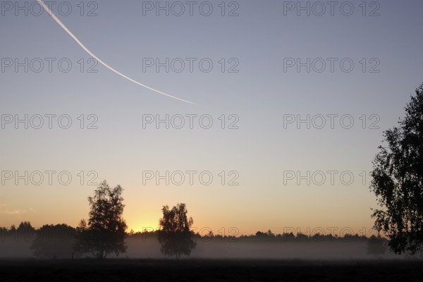 Heath landscape with morning fog, August, Germany