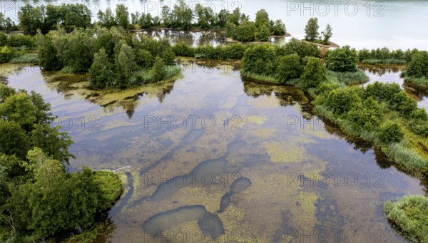 Aerial view, islands in the Drau, river, Brenndorf bird sanctuary, Carinthia, Austria