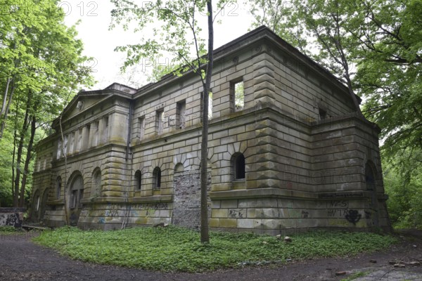 Ruin, castle ruin of Dwasieden Castle on Rügen, Mecklenburg-Western Pomerania, Germany