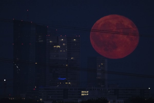 The full moon passes over the Frankfurt banking skyline, Frankfurt am Main, Hesse, Germany