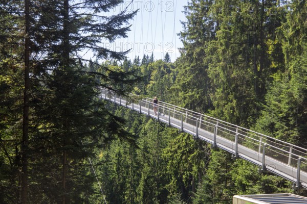Wildline Bad Wildbad: The pedestrian suspension bridge is 380 metres long and 60 metres high. It was opened as a tourist attraction in 2018