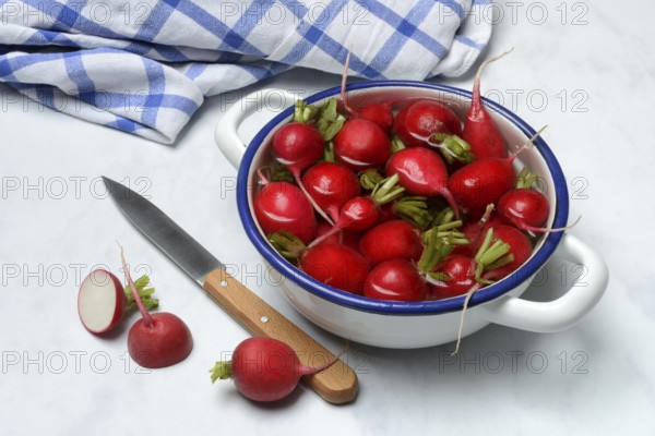 Radish in skin, in water, Raphanus sativus