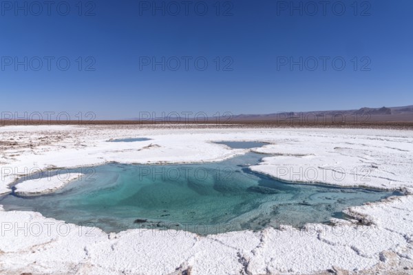 Coloured salt formations at the Lagunas Escondidas de Baltinache, Atacama Desert, Toconao, San Pedro de Atacama, Región de Antofagasta, Chile