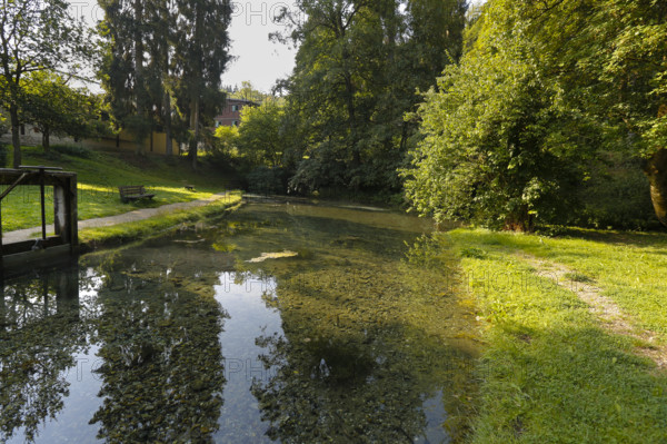Lauter spring, Große Lauter, karst spring, body of water, park, idyll, meadow, lawn, trees, Offenhausen, municipality of Gomadingen, Swabian Alb, Baden-Württemberg, Germany