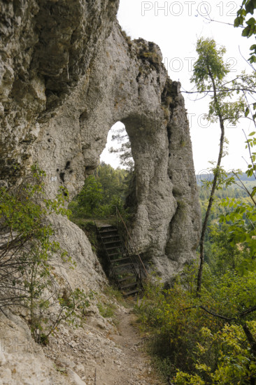 Teufelstorffelsen, Jura rock, gate-like breakthrough, stairs, natural monument between Gammertingen and Hettingen, Zollernalbkreis, Swabian Alb, Baden-Württemberg, Germany