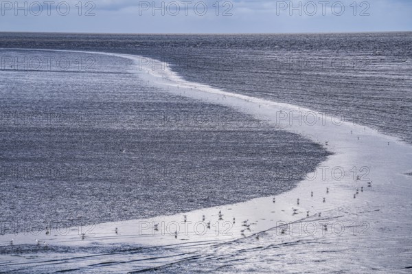 Wadden Sea between the Dutch coast near Eemshaven and the German North Sea island of Borkum, Wadden Sea National Park, UNESCO World Heritage Site, low tide, low water, clouds