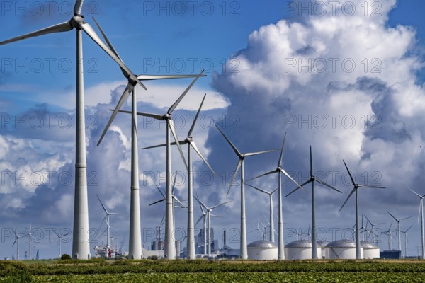 Wind farms Westereems and Growind, in the north of the Netherlands, near Eemshaven, energy centre, in addition to wind energy there are coal and gas-fired power plants and various energy infrastructure facilities, Netherlands