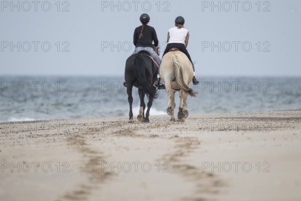 Two riders on the beach, near Hvide Sande, North Sea, Denmark