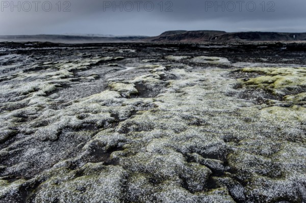 Stones and Moss along the Ring Road, Mountains, Frost, Winter, Cold, Cloudy, Iceland* Stones and Moss along the Ring Road, Mountain Range, Cold, Cloudy, Iceland