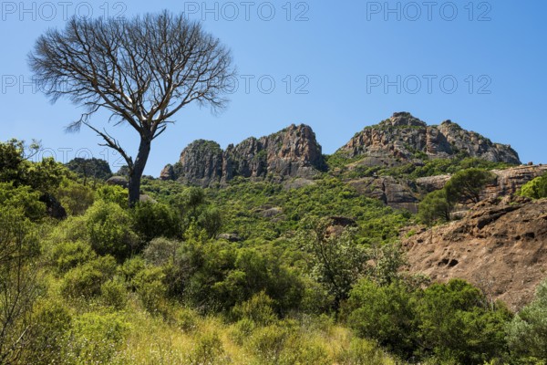 Rocher du roquebrune, Roquebrune-sur-Argens, near Saint-Raphaël, Massif de l'Esterel, Esterel Mountains, Département Var, Cote d'Azur, Provence-Alpes-Côte d'Azur, France