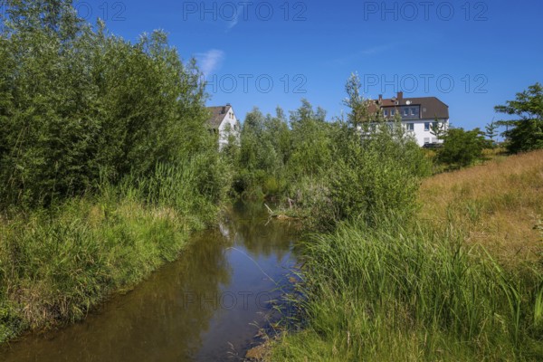 Recklinghausen, North Rhine-Westphalia, Germany - Renaturalised Hellbach, renaturalised watercourse, the Hellbach is now free of wastewater after the construction of a parallel sewer, is part of the Emscher river system and thus part of the Emscher conversion, was previously an open, above-ground wastewater channel, mixed water channel with surface water and wastewater. The renaturalised Hellbach stream strengthens the city's climate resilience, promotes biodiversity and helps to mitigate urban warming caused by climate change