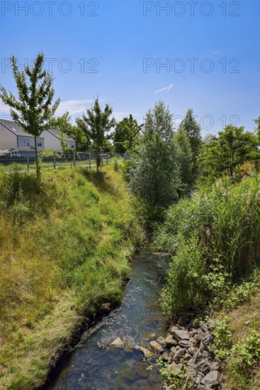 Recklinghausen, North Rhine-Westphalia, Germany - Renaturalised Hellbach, renaturalised watercourse, the Hellbach is now free of wastewater after the construction of a parallel sewer, is part of the Emscher river system and thus part of the Emscher conversion, was previously an open, above-ground wastewater channel, mixed water channel with surface water and wastewater. The renaturalised Hellbach stream strengthens the city's climate resilience, promotes biodiversity and helps to mitigate urban warming caused by climate change