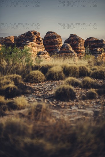 Bungle Bungle Range, Outback, hiking in Australia in high heat, Western Australia, Australia