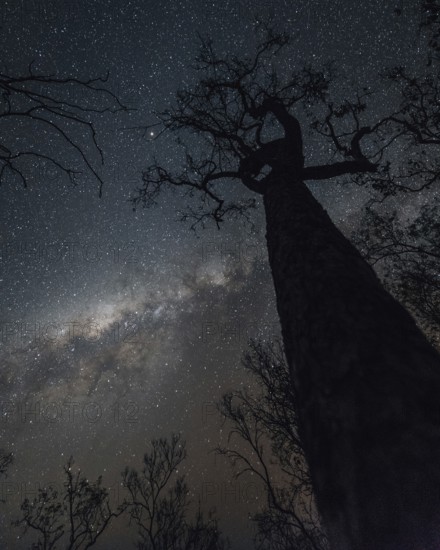 Milky Way Australian Outback, Australia