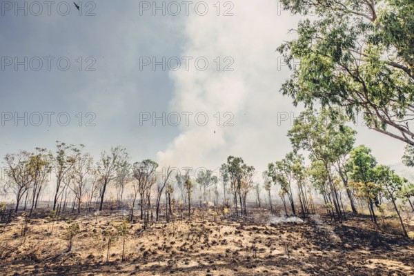 Bushfires in the Australian outback