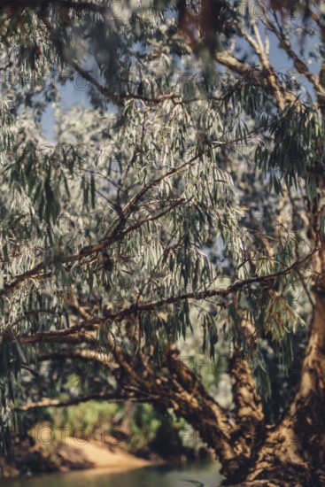 River and other waters in the outback in the north of Australia