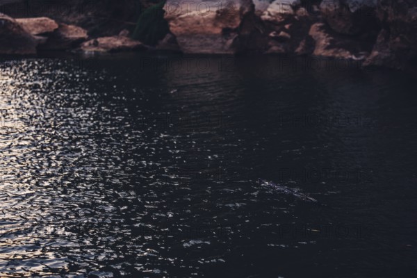 Special light atmosphere in the outback at Windjana Gorge National Park in Australia