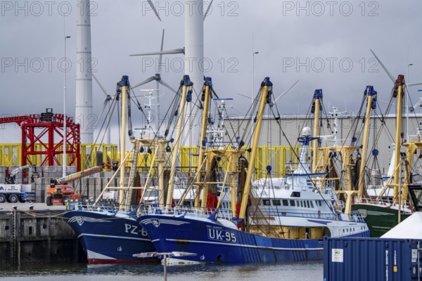 Fishing boats in Beatrixhaven, the seaport of Eemshaven, industrial harbour, at the quay, Netherlands