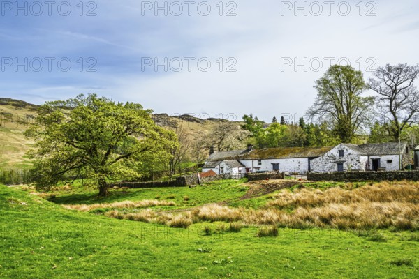 Farms, Ullswater Lake, Lake District National Park, Cumbria, England, United Kingdom