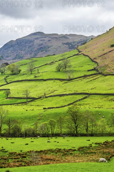 Farms in Lake District National Park, Cumbria, England, United Kingdom