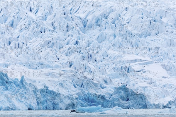Glacier tongue, sea, Smeerenburgbreen, Spitsbergen, Svalbard