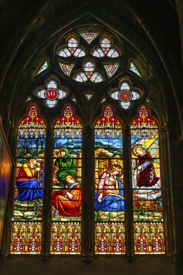 Cathedrale Sainte-Marie in Bayonne, Basque Country, Southwest France