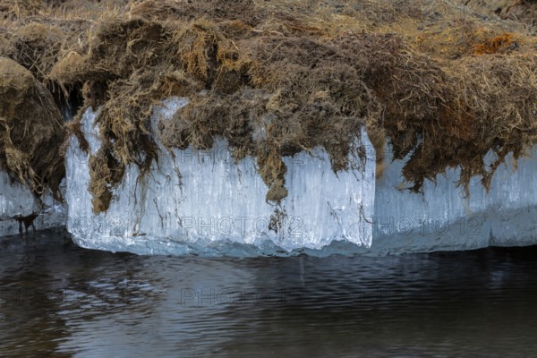 Permafrost, ice below the surface, Aventdalen, Longyearbyen, Spitsbergen, Svalbard