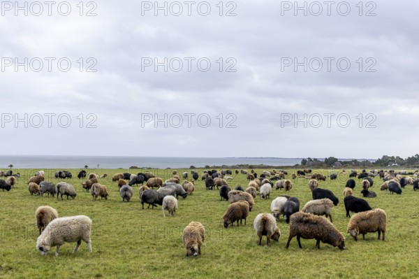 Sunset by the sea, waves, North Sea, Rantum, Sylt, Schleswig-Holstein