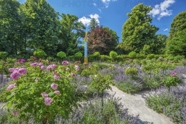 Rosarium with blooming roses and lavender on the Rose Island in Lake Starnberg, Feldafing, Upper Bavaria, Bavaria, Germany