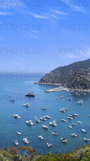 USA, California, panoramic view of Catalina Island Bay and Avalon. Chimes Lookout. Travel attraction