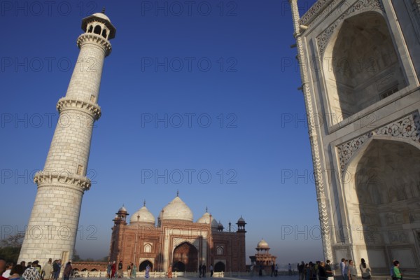 Taj Mahal or Taj Mahal in the morning light, mausoleum, Agra, Uttar Pradesh, India