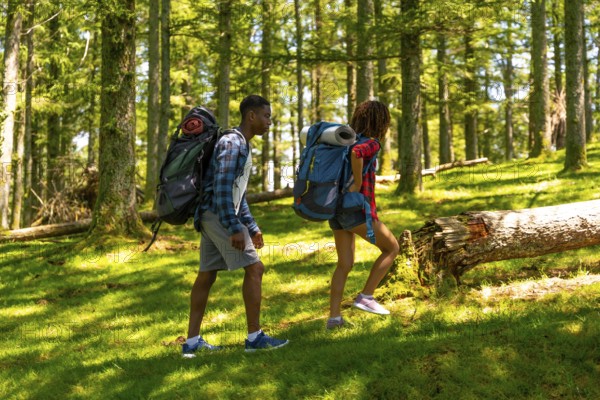 Two hikers are walking through a sunny forest wearing backpacks and enjoying their hike in nature