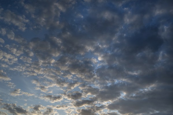 Rain clouds (Nimbostratus), Bavaria, Germany