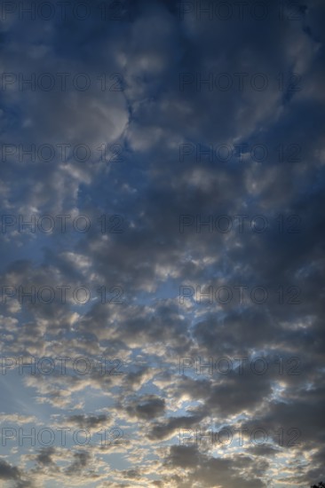 Rain clouds (Nimbostratus), Bavaria, Germany