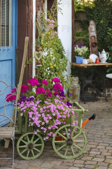 Kässtadel, KäStadel, on the lake, cheese shop with bistro, cheese shop, delicatessen, café, regional cuisine, small restaurant, garden, idyll, still life, geraniums (pelargoniums), trolley, watering can, blue door, half-timbered, time out, stop for a bite to eat, Oberuhldingen district, Uhldingen-Mühlhofen municipality, Lake Constance district, Baden-Württemberg, Germany