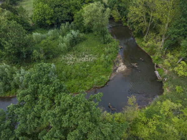 Renaturalised Erft near Neuss, North Rhine-Westphalia, Germany
