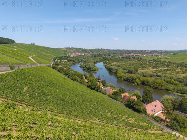 Mainschleife in summer, charburner near Volkach, behind Escherndorf, aerial view, Lower Franconia, Franconia, Bavaria, Germany