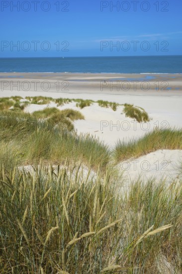Domburg, Zeeland, Netherlands - Noordduine Domburg beach