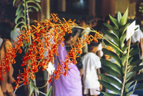 People attending flower show at the Singapore Turf Club, The 4th World Orchid Conference, Singapore, Southeast Asia, October 3-10, 1963