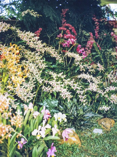 People attending flower show at the Singapore Turf Club, The 4th World Orchid Conference, Singapore, Southeast Asia, October 3-10, 1963