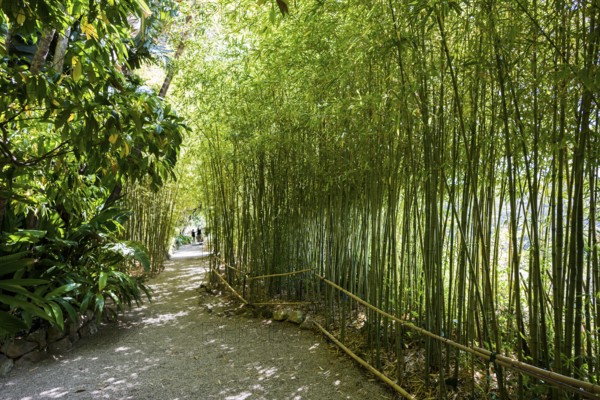 Park, Villa Ephrussi de Rothschild, Saint-Jean-Cap-Ferrat, Cap Ferrat, Alpes Maritimes, Provence Alpes Cote d'Azur, French Riviera, South of France, France