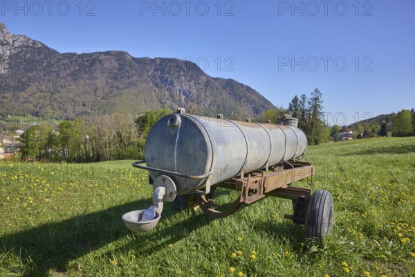 Cattle trough, agricultural equipment, cultural landscape, agriculture, mountain landscape, mountains, meadow, trees, depth of field, blue sky, cloudless, Bad Reichenhall, Berchtesgadener Land district, Bavaria, Germany