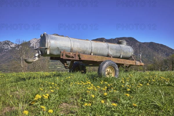 Cattle watering trough, agricultural equipment, cultural landscape, agriculture, mountain landscape, mountains, meadow, common dandelion (Taraxacum sect. Ruderalia), trees, blue sky, cloudless, Bad Reichenhall, district Berchtesgadener Land, Bavaria, Germany