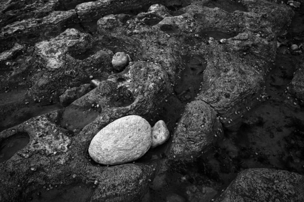 Pebbles, stones, pebbles on the beach, black and white, Yport, chalk cliffs, alabaster coast, La Côte d'Albâtre, Normandy, Seine-Maritime, France