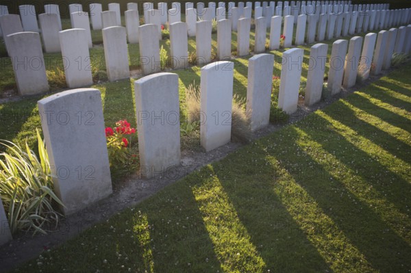 Flowers, gravestones, war graves, soldiers' graves, military cemetery, First World War, Church of Our Lady of Notre-Dame d'Étretat, Étretat, backlight, evening light, Normandy, Seine-Maritime, France